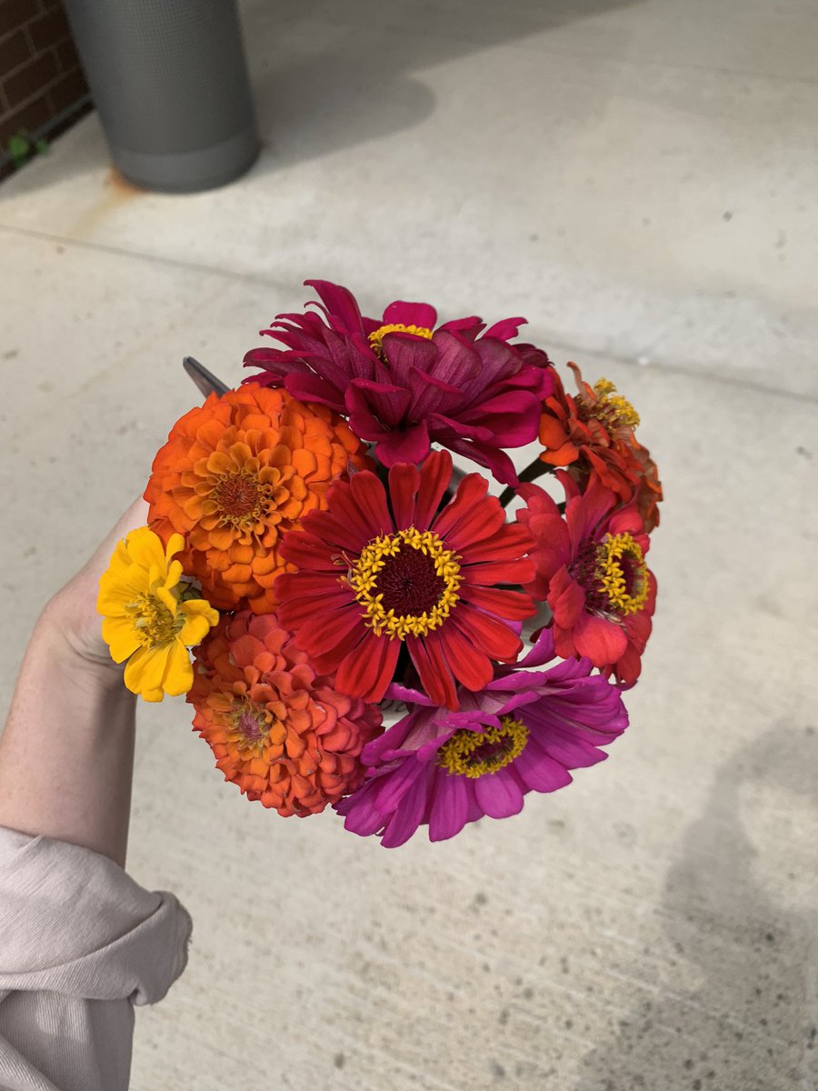 Beautiful flowers from our Summit garden! Made three bouquets and didn’t even put a dent in the bed😍 <a href="/MrsBarlow18/">Mrs. Barlow</a>
