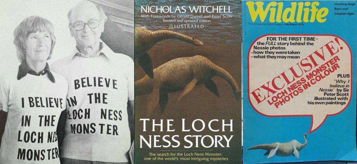 UPDATE: a modified, tidied version of this entire thread - with references, tidier pictures and so on - HAS now been published at  #TetZoo, it's here ....  http://tetzoo.com/blog/2020/8/17/loch-ness-monster-flipper-photos  #cryptozoology  #LochNess  #monsters