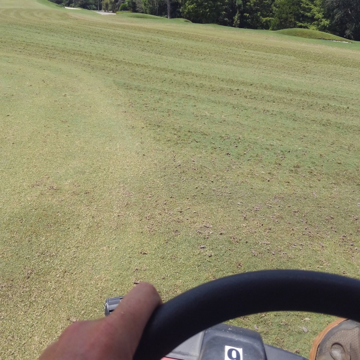 BryceGibson8's tweet photo. Day 2 #fallaerification, very productive Day! Finished grns core/cleanup/sand/Coco, 2X vert tees, finished fwy core/TerraRake and started circle cut before 🌩️ stopped @jaykenn72 and I could get going...#dayinthelife #thisismyoffice #Turflife https://t.co/z67s6WjZmh