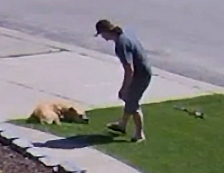 Police seek public's assistance identifying suspect in animal cruelty investigation: The Edmonton Police Service is seeking the public’s assistance identifying a suspect in relation to an animal cruelty incident that took place in west Edmonton earlier… dlvr.it/RdvVzy