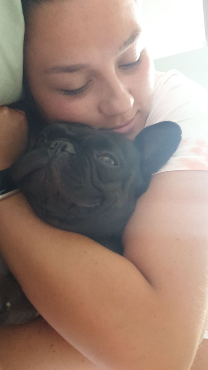 karenLouBarry's tweet photo. @PatrickDempsey Frenchies❤ https://t.co/3K1jZ57SVF