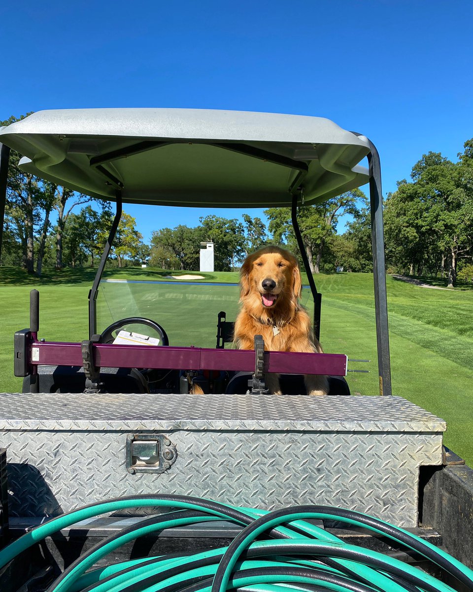 Olympia Fields Country Club tweet media