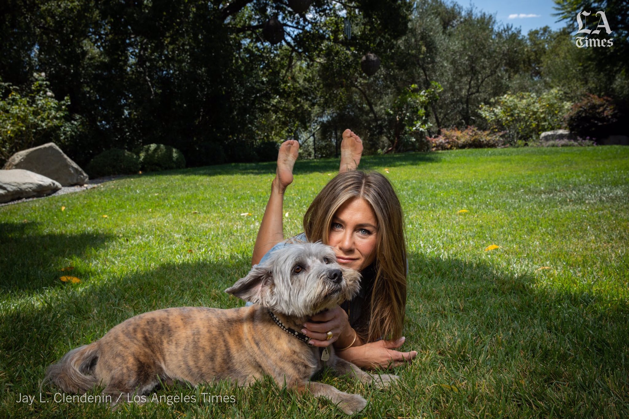 Jay L. Clendenin / onto the next... on X: "I made a new friend at a recent  shoot, his name's Clyde His human was pretty cool too, she let me take some