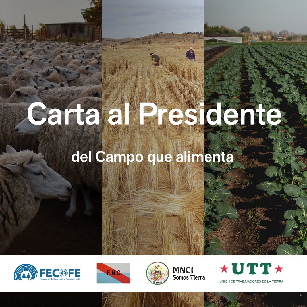 uttnacional's tweet photo. ✍️ CARTA AL PRESIDENTE @alferdez 

Hola, Alberto. ¿Cómo estás? Esperamos que bien en medio de jornadas tan complejas. Nos permitimos escribirte esta carta para tratar de comunicarnos con vos. https://t.co/6yVmTQAWYA