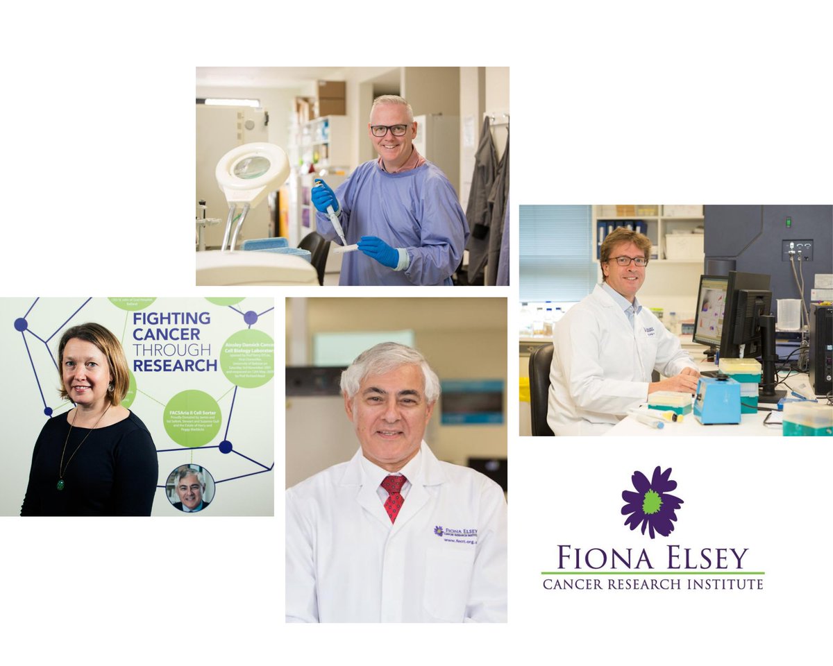 Congrats to our colorectal group on publishing a review of current knowledge of the role of MAIT cells in cancer. Includes influences when activated, stimulation in the tumour &amp; prospects for MAIT cells being used in new treatments. bit.ly/crA20 <a href="/FrontiersIn/">Frontiers</a>