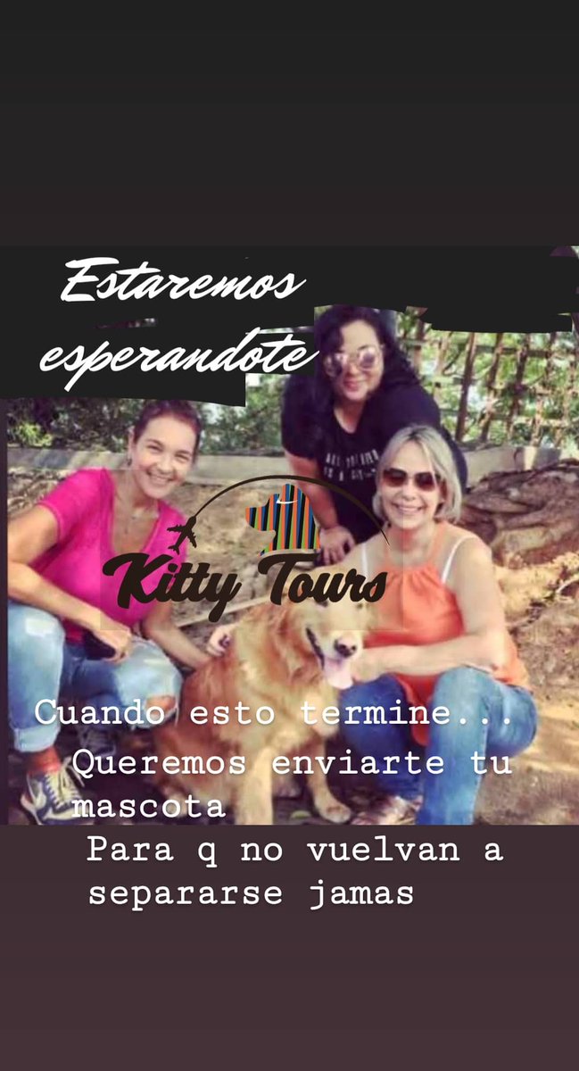NAnimalista's tweet photo. Reencuentros de Venezolanos en el exterior con sus mascotas,. Viajes, pasajeros voluntarios,. Amor a los animales, un emprendimiento hermoso, honrrado y necesario 
 #EmprendedoresVenezolanos https://t.co/es4enrHmp9
