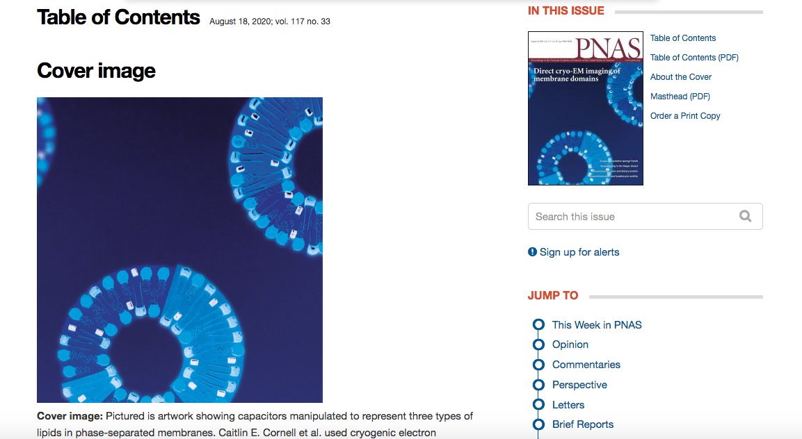 @KayTrue on all platforms (Sarah L. Keller) (@kaytrue) on Twitter photo I'm thrilled we're on <a href="/PNAS/">pnas</a>'s cover (pnas.org/content/117/33…). <a href="/CaitlinCornell6/">Caitlin Cornell</a> & our team used cryoEM to identify domains in phase-separated membranes by probe-free & labeling techniques. Also check out the linked (simultaneous) paper by our super colleagues <a href="/LeventalLab/">Ilya Levental</a> et al! I'm thrilled we're on <a href="/PNAS/">pnas</a>'s cover (pnas.org/content/117/33…). <a href="/CaitlinCornell6/">Caitlin Cornell</a> & our team used cryoEM to identify domains in phase-separated membranes by probe-free & labeling techniques. Also check out the linked (simultaneous) paper by our super colleagues <a href="/LeventalLab/">Ilya Levental</a> et al!