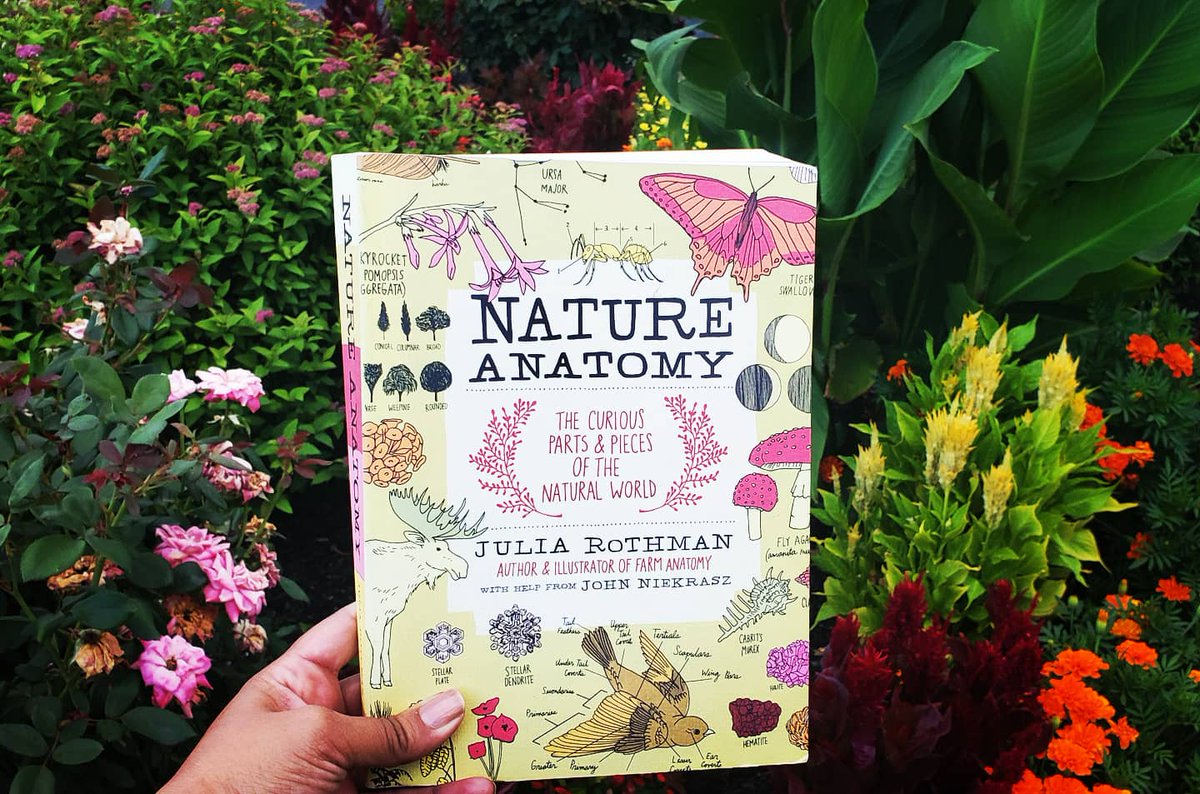 Lizro27's tweet photo. "Nature Anatomy:..." written &amp; illustrated by @JuliaRothman w/John Niekrasz ⭐⭐⭐⭐⭐#Heartathon Prompt 2:  Art #Bibliothon Prompt 4
Rothman is a talented illustrator. Here she uses that skill to explore the natural world w/ whimsical, lovely drawings. Loved it! @thebookbarrel https://t.co/z2eS9pE8XB