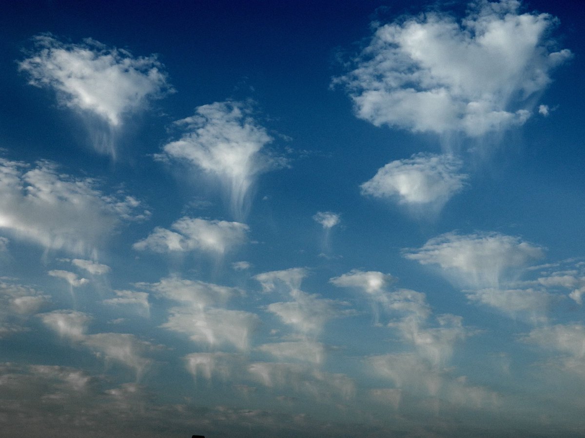 "Virga" ليس تصنيفًا رسميًا للسحابة حيث تتشكل عندما يبدأ المطر أو الثلج في التساقط ولكن يتبخر أو يتصاعد في الجو. تبدو وكأنها سماء مليئة بقناديل البحر العائمة