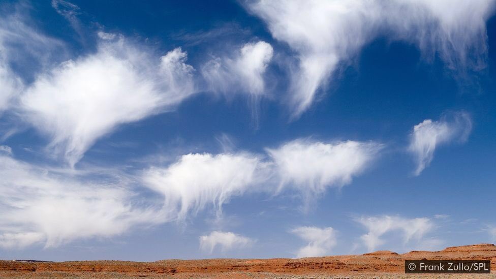 "Virga" ليس تصنيفًا رسميًا للسحابة حيث تتشكل عندما يبدأ المطر أو الثلج في التساقط ولكن يتبخر أو يتصاعد في الجو. تبدو وكأنها سماء مليئة بقناديل البحر العائمة