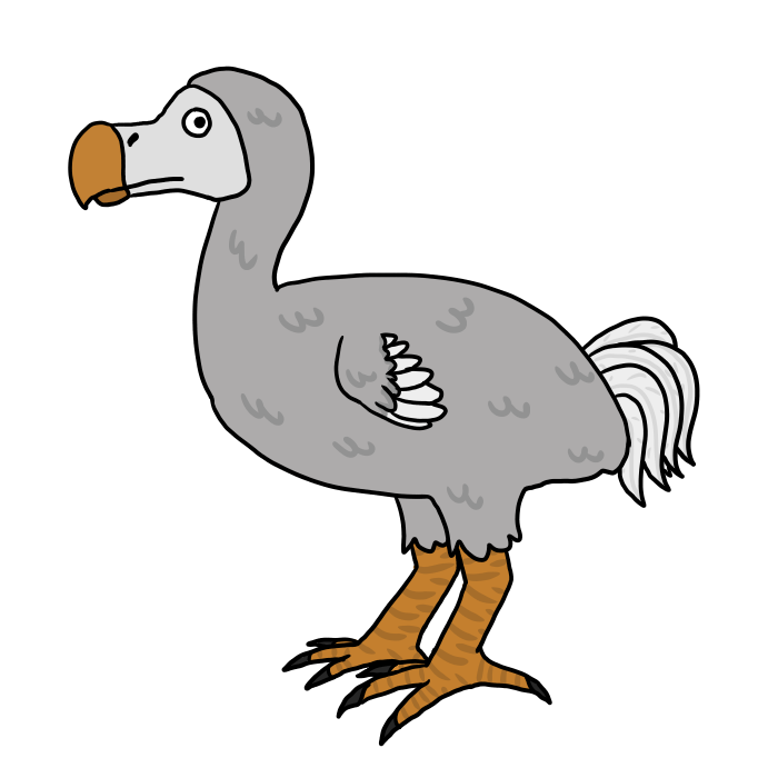 mattyena's tweet photo. This week's #xatw is the Dodo bird. This 3 foot bird is known for how dumb it is, since we are told as kids that the dodo bird was slow, stupid, and easy to catch, which is why it was hunted to extinction. But is this true? Well, the Dodo bird became extinct in 1680 (continue!) https://t.co/7fpu3Xuu1I