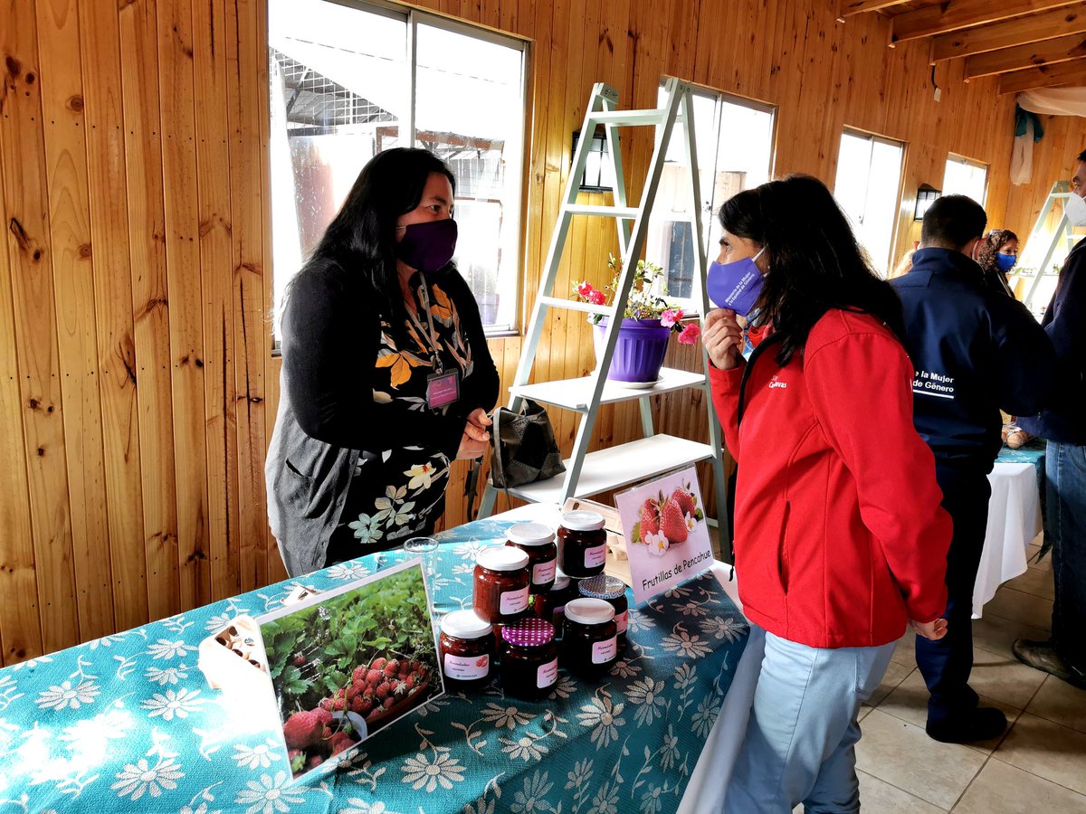carola_cuevasm's tweet photo. Tuvimos una tarde llena de colores, sabores y talento femenino en Pencahue con emprendedoras beneficiarias de @INDAP_Chile. Escuchamos sus historias, cómo se han adaptado en pandemia y sus desafíos. La agricultura es pilar en la zona y las mujeres la están sacando adelante! 💪 https://t.co/ADKsBiLdWz