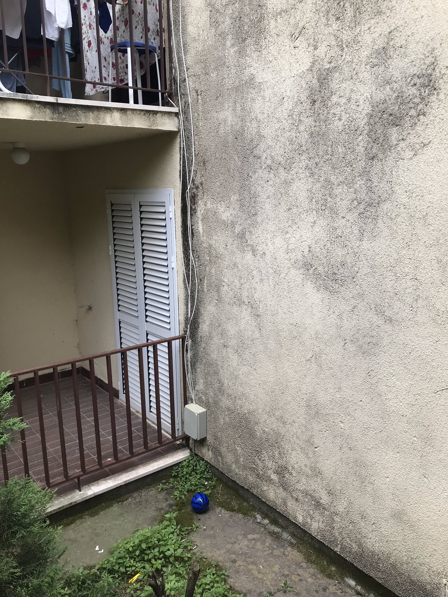 Ljupka stevic gole slike bez cenzure