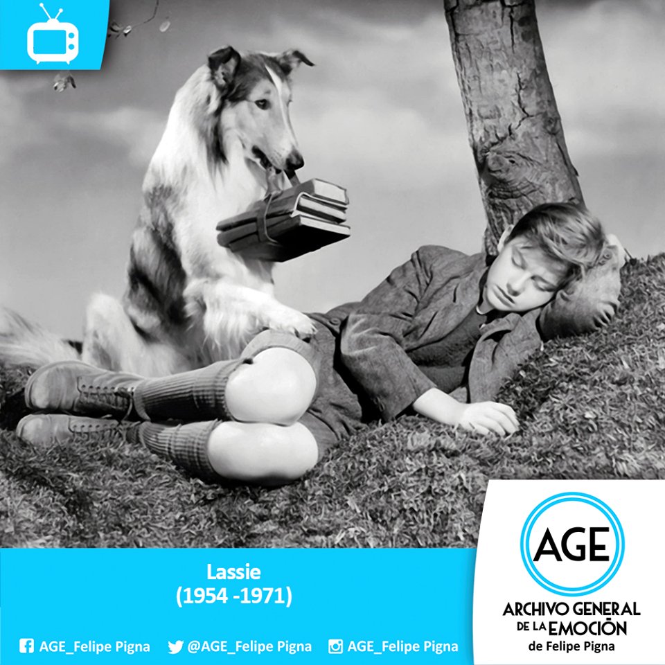 AGE_FelipePigna's tweet photo. Recordamos a la "perra más famosa del mundo" Lasie #Series #TV #ArchivoGeneraldelaEmocion #Decada1950 #Decada1960 #Decada1970 https://t.co/1lLP1684hf