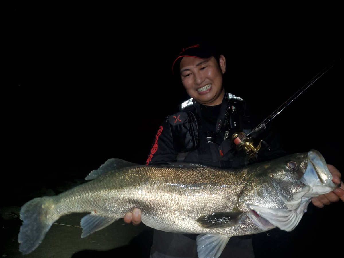 カルカッタコンクエスト0hg