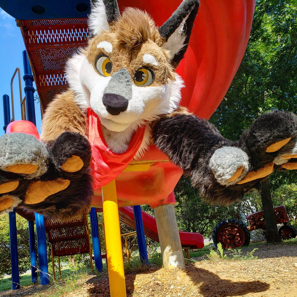 DarwinTheFox tweet media