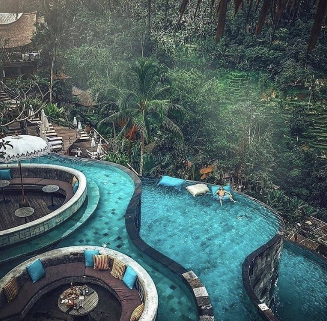 Expedition tweet media