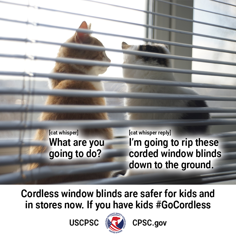 Two cats sitting behind window blinds. The text reads: Cat 1: [cat whisper] what are you going to do? Cat 2: [cat whisper reply] I'm going to rip these corded window blinds down to the ground. Cordless window blinds are safer for kids and in stores now. If you have kids go cordless.