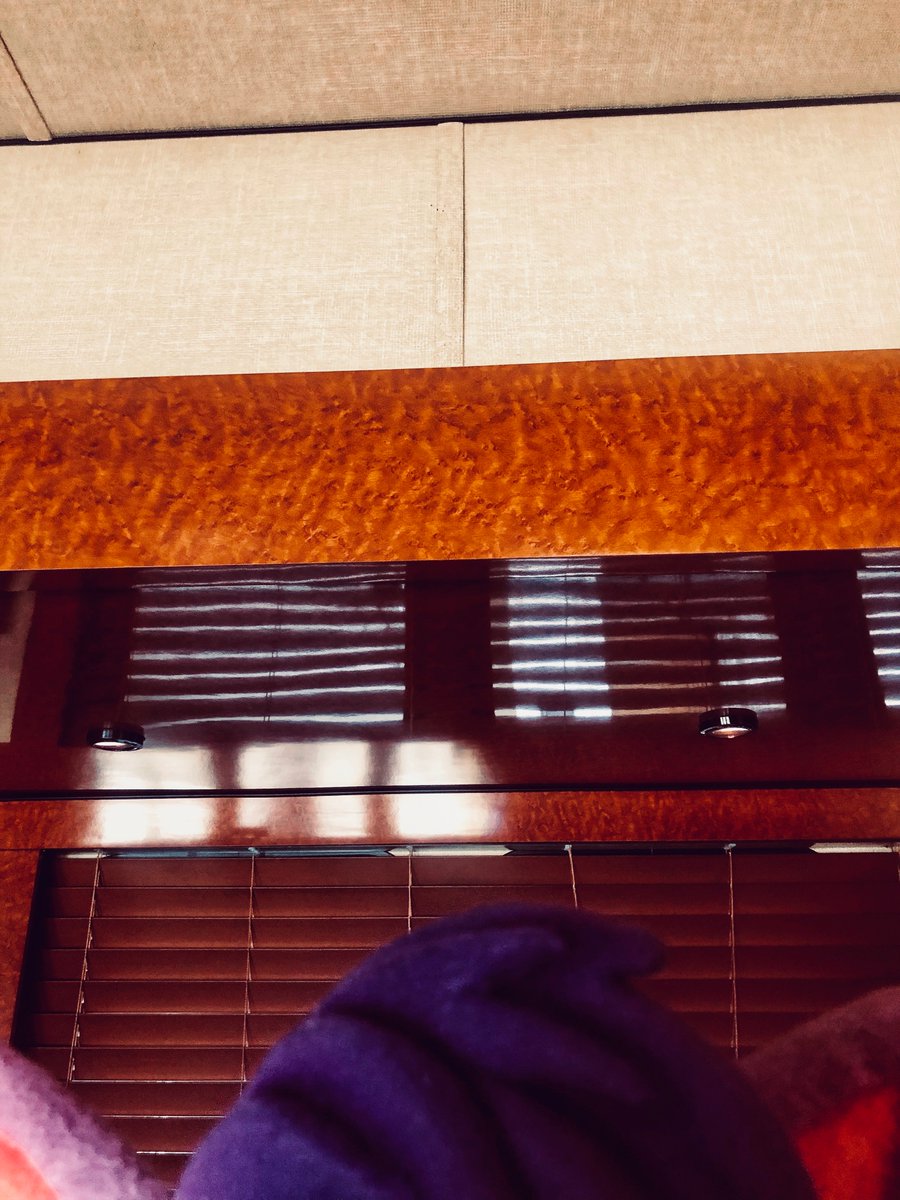 Darci Lynne tweet media