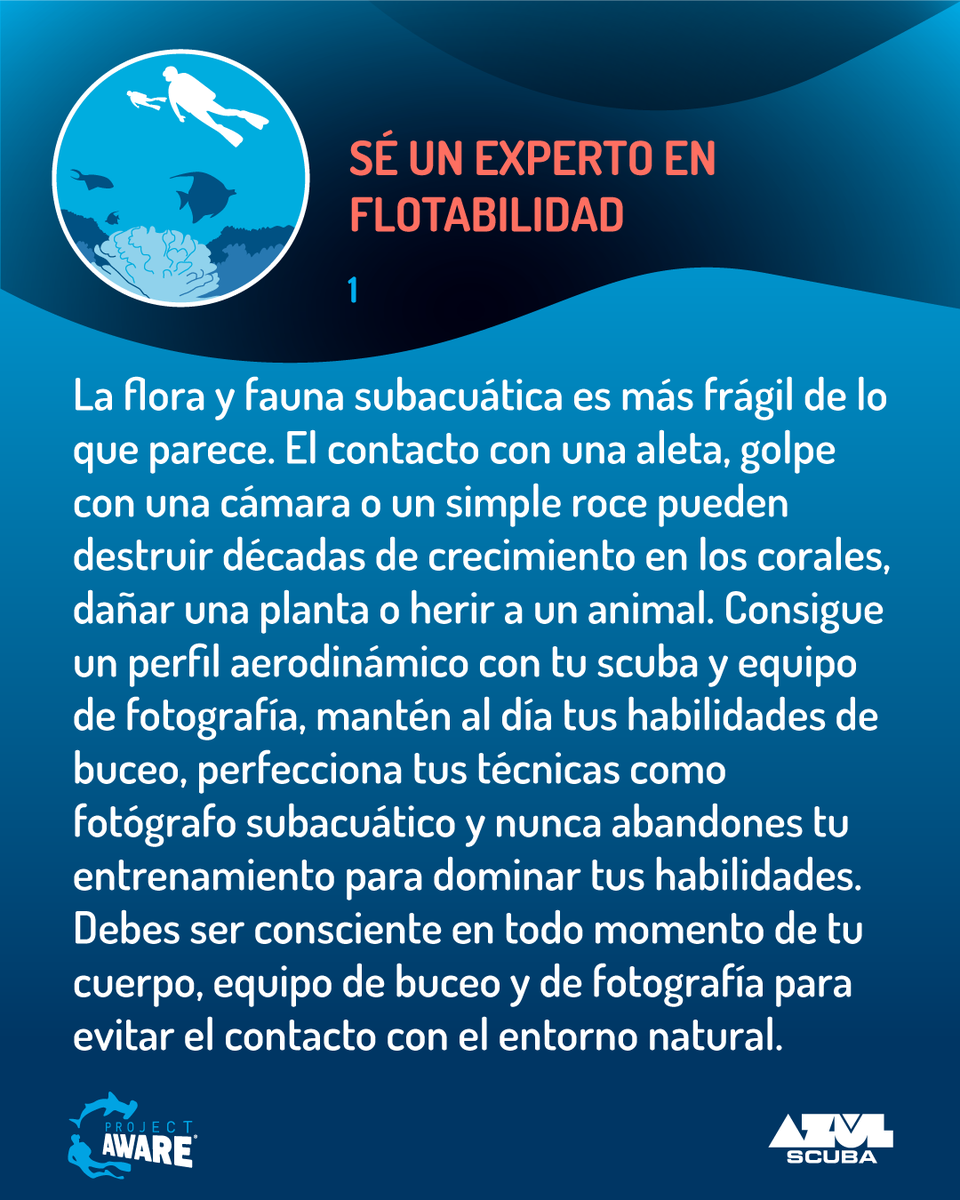 AzulScuba's tweet photo. ¿Cómo proteges el océano? Es el momento de dar impulso a tu sentido Ecológico con los 10 consejos de @projectaware para que los buceadores protejan nuestro mundo oceánico.
#AzulScuba #UnMarDeAventuras
#ProjectAware #Scuba #CursoOnlineVzla #CursoDeBuceo #BuceoEnCaracas #Padi https://t.co/9bAZGdvJdi