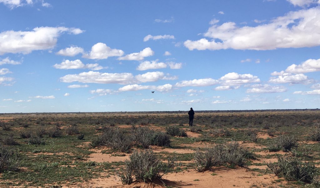 Angus Whyte tweet media