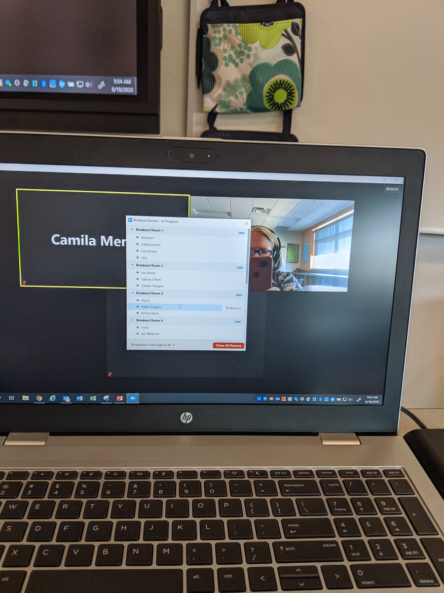 RobinLMaxey's tweet photo. Zoom breakout groups. https://t.co/ocX6lCNREJ