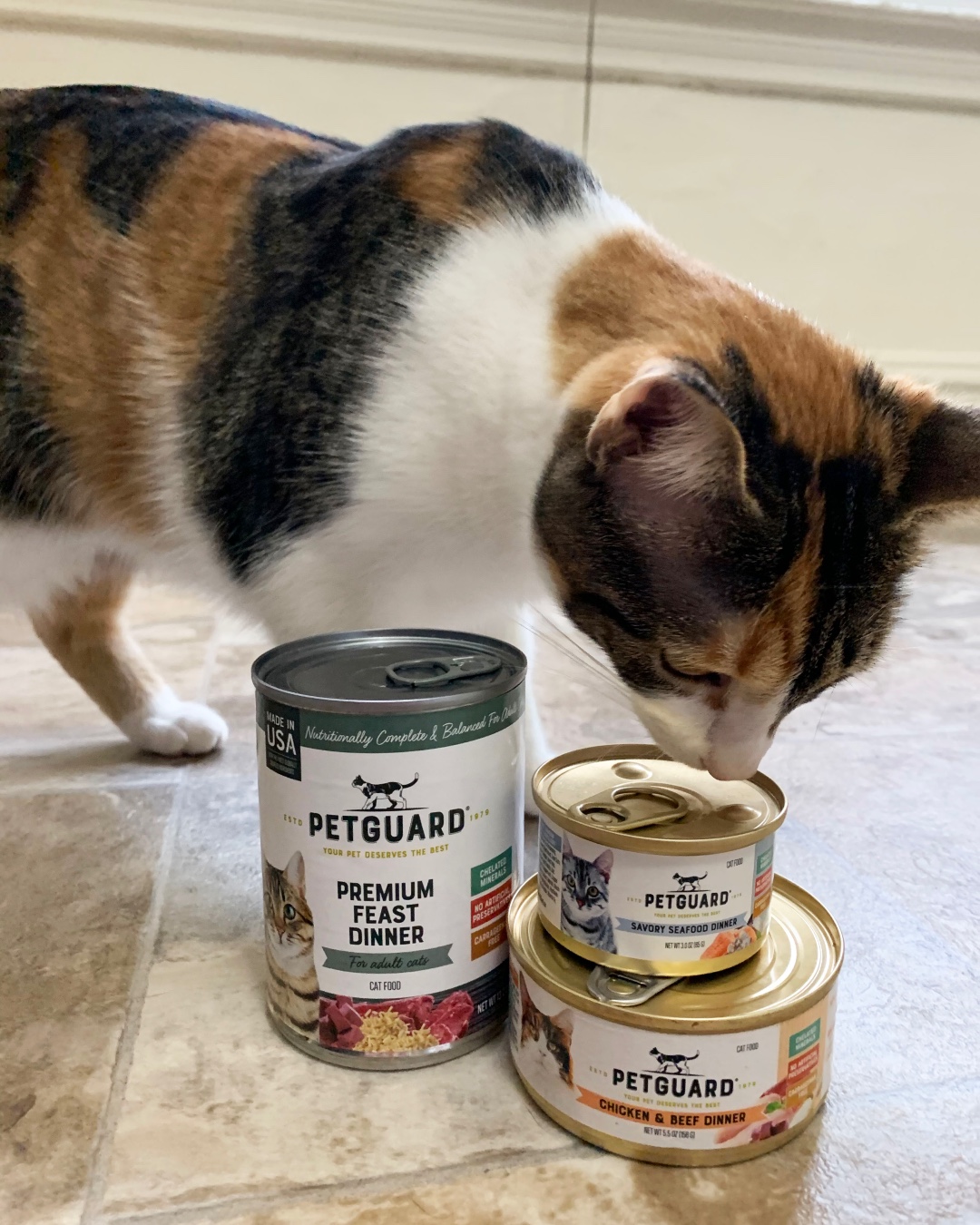 Petguard dry cat food 2025