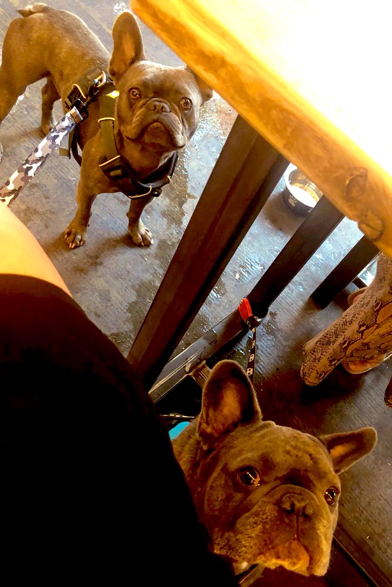 RebeckahVaughan's tweet photo. We went to #Liverpool today with the @NoMoreKennels crew to see @paulcurtisart at #thebaltictriangle @baltictriangle we had amazing steak at @BalticMarketLiv and a lovely walk along the docks π #home https://t.co/yRmYIzaXAU