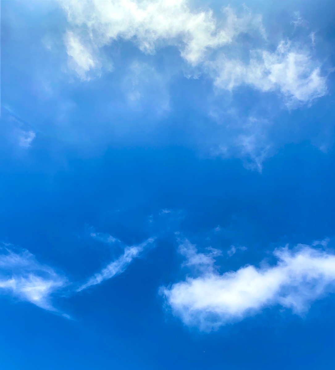 お早ようございます٩(๑´0`๑)۶

本日は定休出勤

只今!!警察の立ち入り検索が来るのを
待ちながら☕️(´▽｀) ﾎｯTimeです♪

しかし眠い😪💭
そして暑い🥵☀️

皆様\(* ॑꒳ ॑* )/
お体に気をつけてくださいね🍀

今日も宜しくお願いしますm
素敵な1日をお過ごしください🌿

#IYSKいまそラブ ℓσνє☻✨