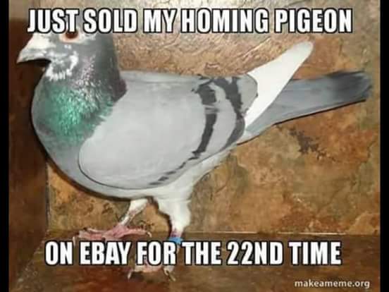 Techagesite's tweet photo. #MEMES #funnymeme #funny https://t.co/AsgDo4fg1o