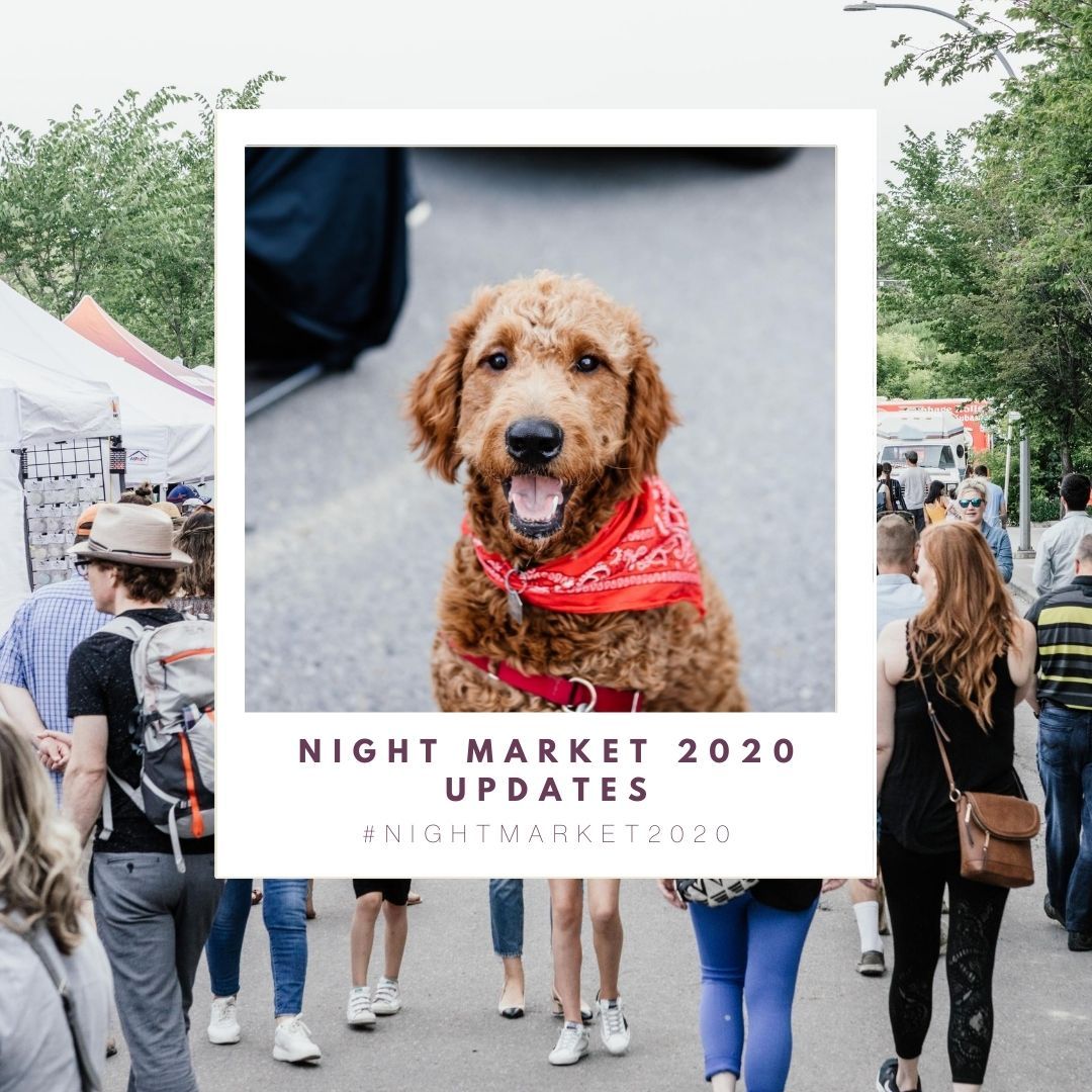 BlueCircle Insurance (@GOBLUECIRCLE) | Twitter