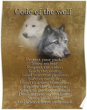 2Kkozz's tweet photo. @wi33ard @NpdSurvivo Right back to ya brother ππ―!
#CodeOfTheWolf ...a pack is a fam and this is fam πβπ―ππ₯π¨π¨ ...#StayLifted #PositiveVibes #StonerFam #Mmemberville https://t.co/ph9HxWExRX