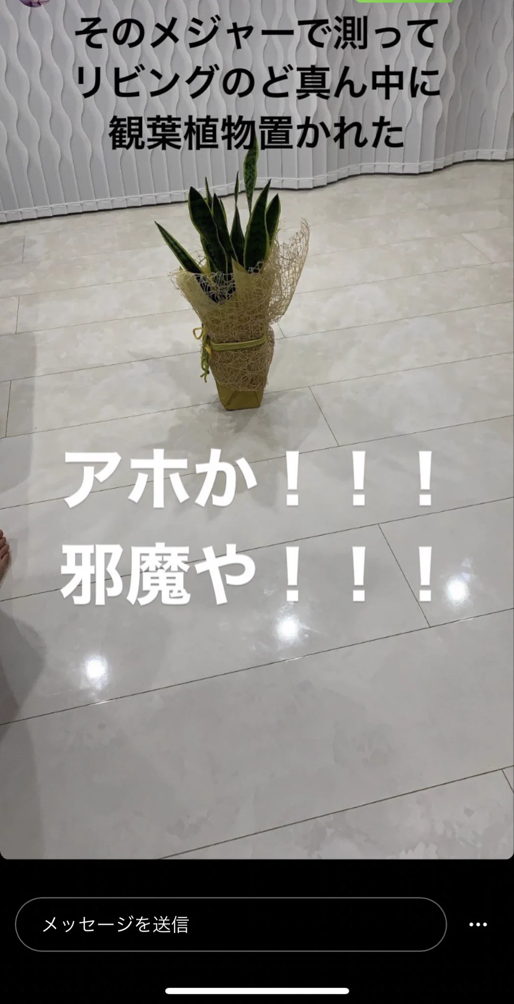 ちょっと気の毒だけど面白い。「義理の母」がするストレスなストーリー集。