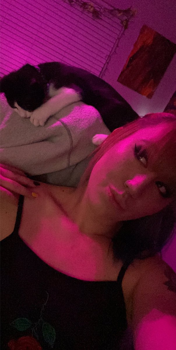 cookiesxxmilk's tweet photo. My kitty is evil and he attacks me at any chance he gets send help
This is not a test
#evilkitten #satan https://t.co/ryF4TQt0xJ