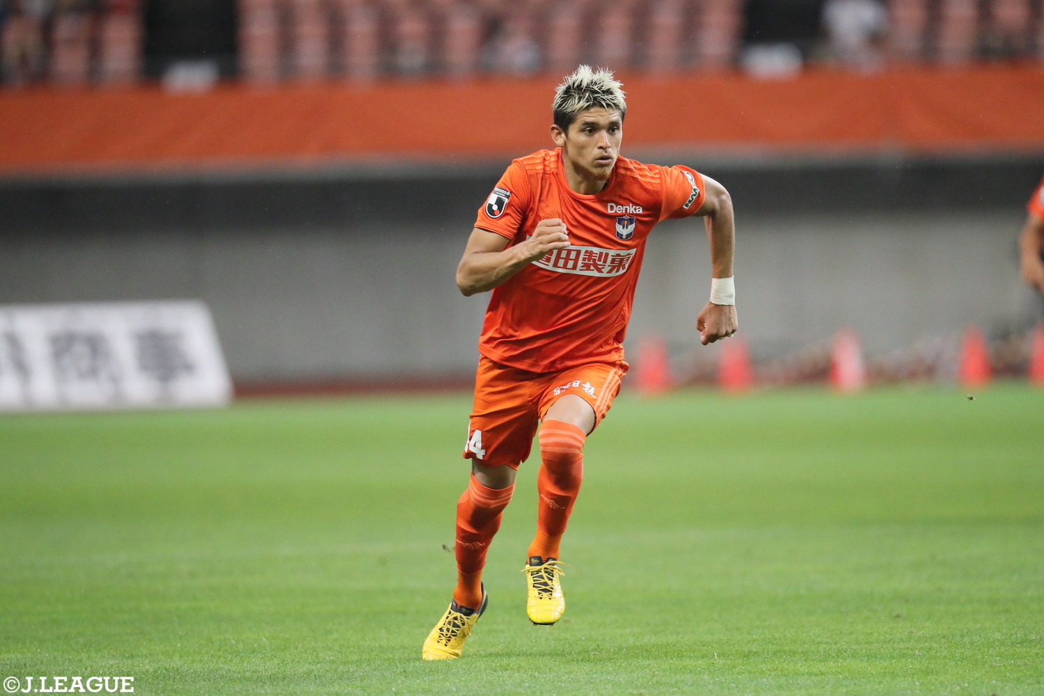 J1 アルビレックス新潟 ロメロフランク　24番　L トップチーム（ロメロ フランク） - アルビレックス新潟 公式