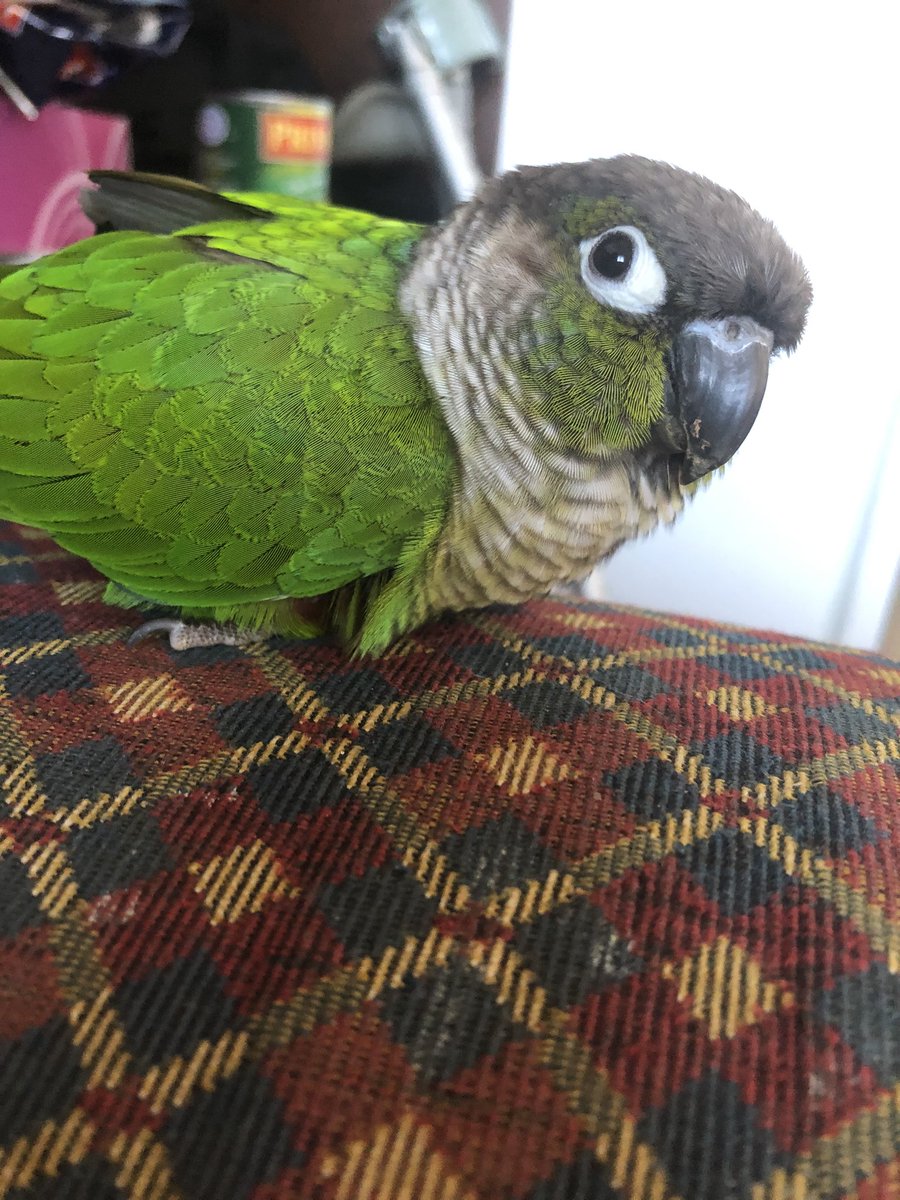 Audrey 🎄🎅🏻☃️ tweet media