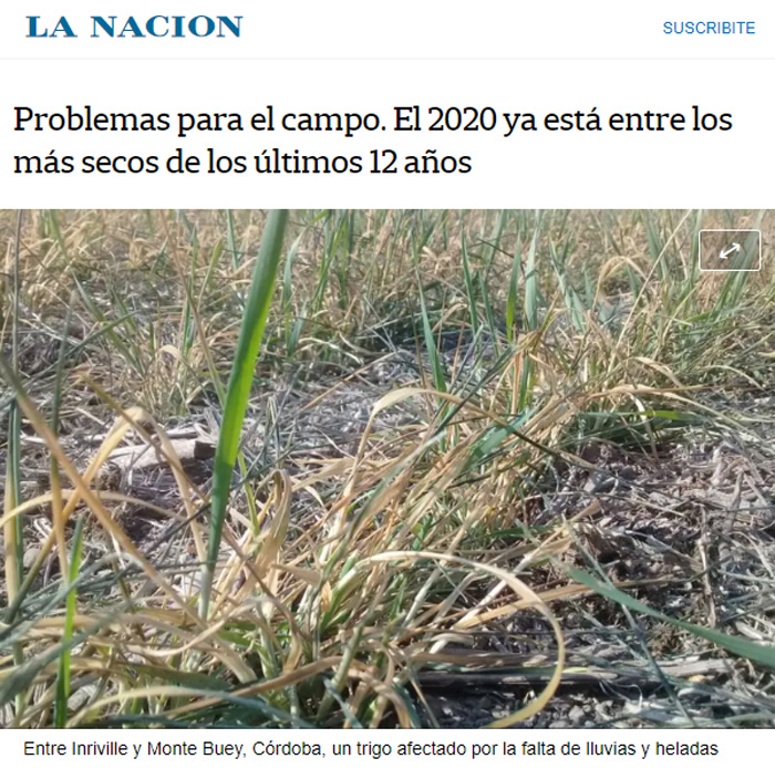 -¿No cree que tanto desmonte e incendio forestal podría afectar nuestro negocio?
-¿En qué sentido?
-No sé. Tal vez generen algún desequilibrio en el régimen de lluvias; sequías y esas cosas.
-Pero qué ridículo. ¿Qué tienen que ver los bosques y los humedales con el agua?