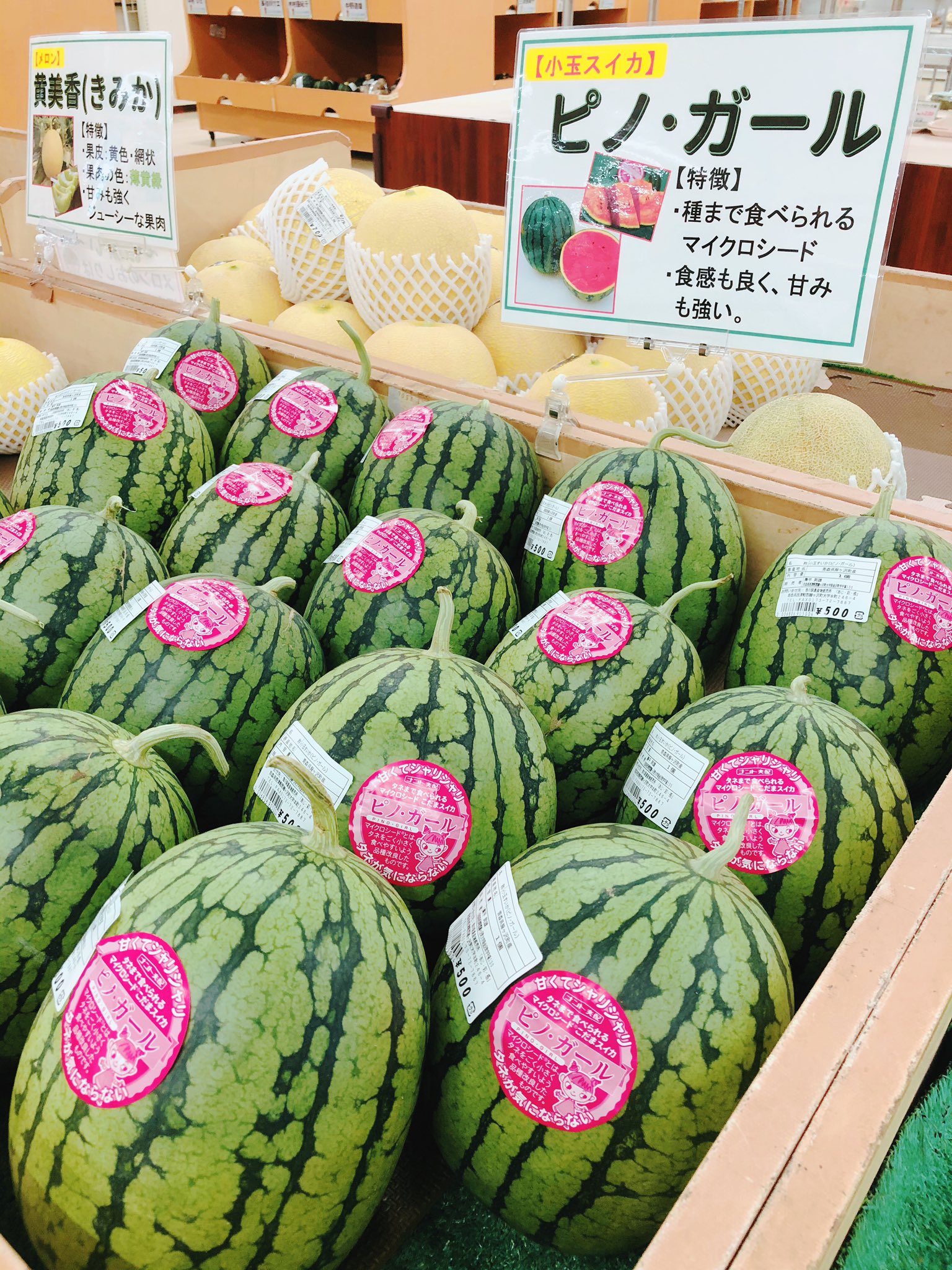 ２・神奈川県・echowu1110・ピノガール 2・神奈川県・echowu1110様専用・ピノガール （タネまで食べ