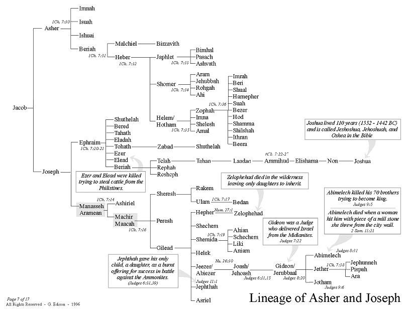 Genealogy family tree chart that shows the line of Asher and Joseph
