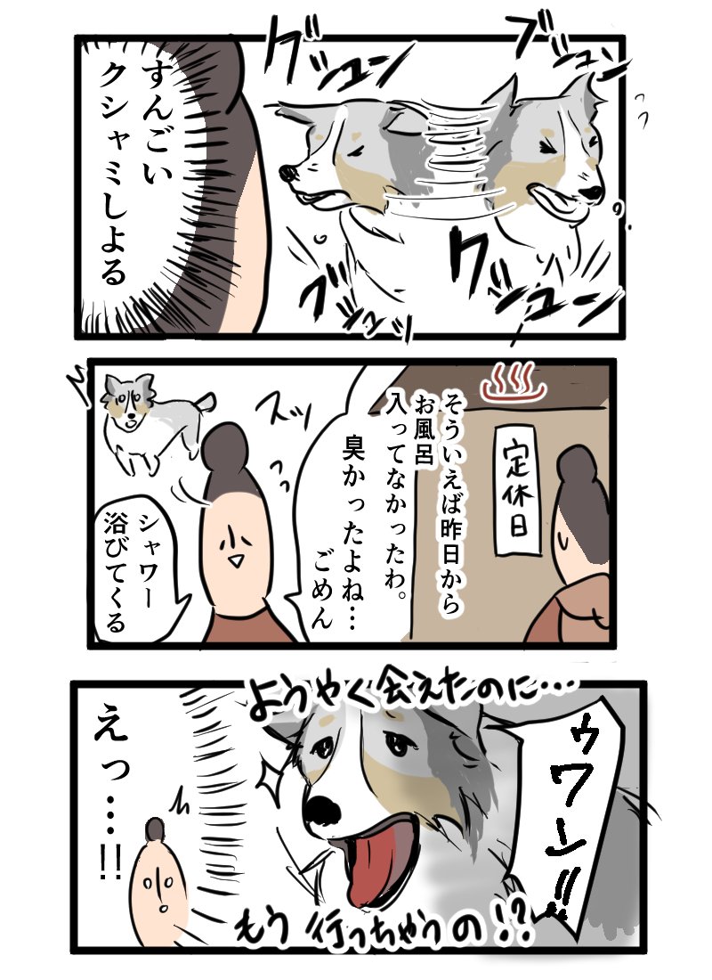 ソロキャンパーと再会した犬の反応

ソロキャンプ終わっちゃってもこの笑顔があれば私は幸せ♡ 