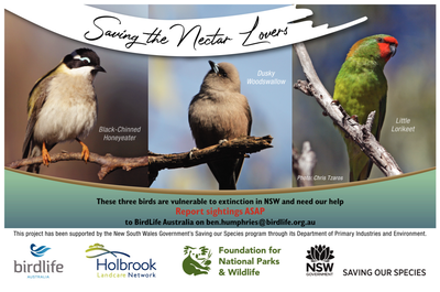 Top Science + Landcare stories for #NationalScienceWeek
Landcare + birds + science = Birds on Farms 🦉 ❤️👉bit.ly/3awtZtp
#landcarensw #NationalScienceWeek #birdsonfarms #australianbirds @BirdlifeOz #holbrooklandcare @Ljbell3Linda #foundationfornationalparksandwildlife