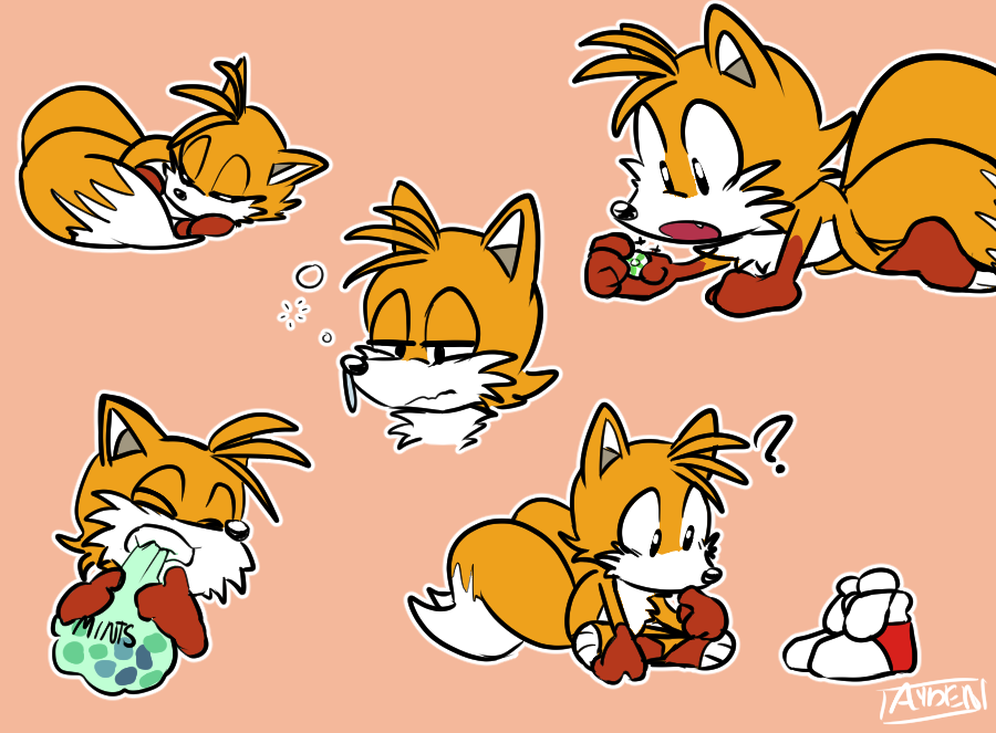 Likt. quick lil doodle of a headcanon of mine. before Tails followed Sonic ...