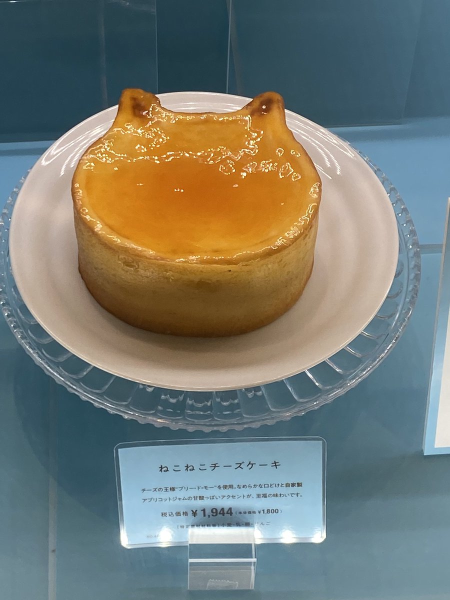 蒲田カルチャートーク Pa Twitter 今日はグランデュオ蒲田で ねこねこチーズケーキ 買おう 蒲田カルチャートーク Pa Twitter 今日はグランデュオ蒲田で ねこねこチーズケーキ 買おう