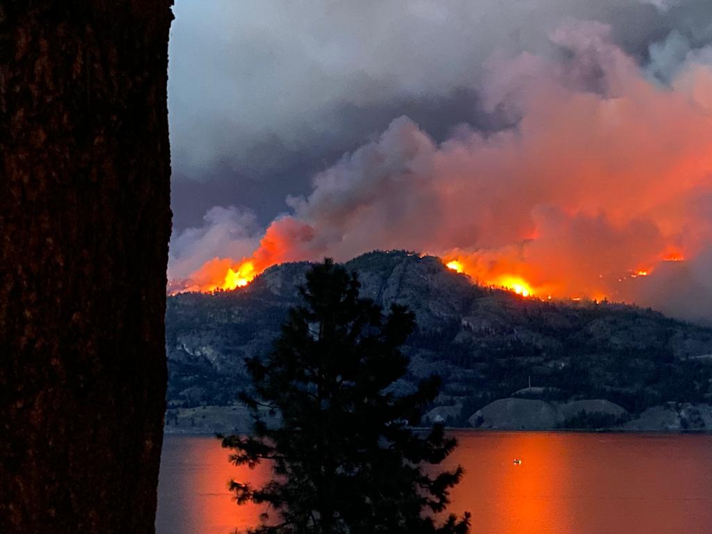 anitabathe's tweet image. 8-year-old Ellie S. took these photos.  A look at the #bcwildfire in #Penticton from Kaleden tonight.