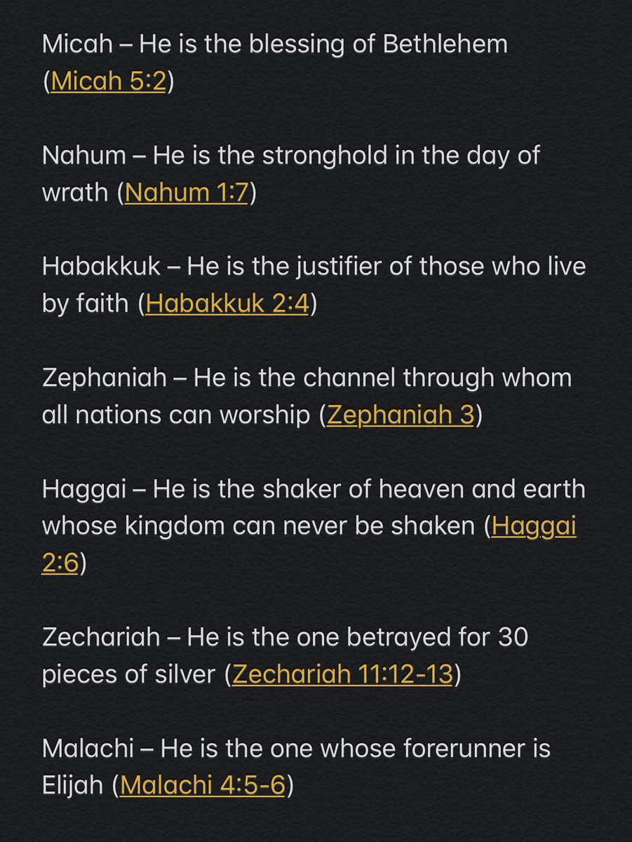 Hallelujah   #MessiahJesus  #SaviorOfTheWORLD for those who believe and follow HIM 