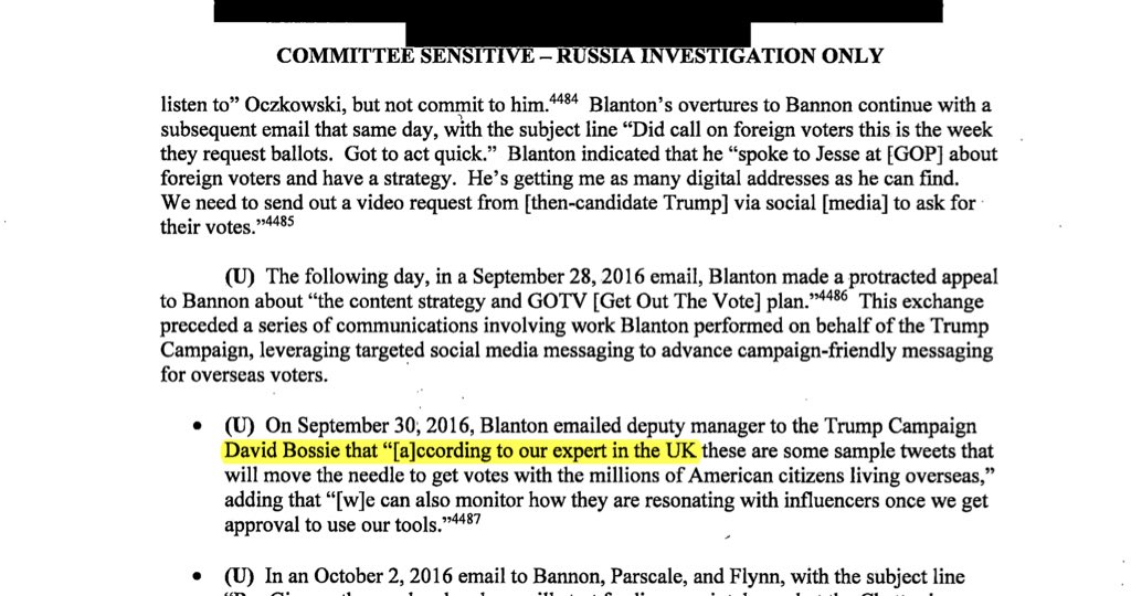 Reading up on how Flynn’s favorite private influence shop (Colt/VizSense) pitched the campaign with influencer analytics (“digital soldiers”?) CA/SCL’s Oczkowski and an unspecified “UK expert”were dialed in on a foreign voter vote-by-mail campaign.  #SSCIvol5