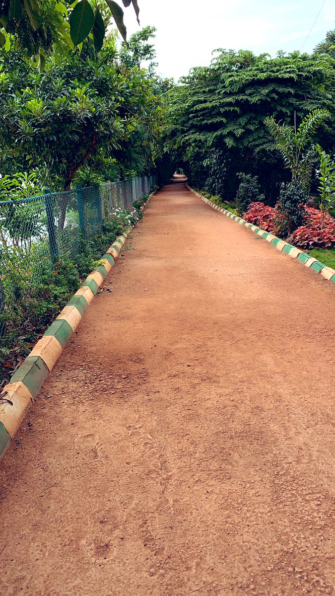 ArchNeha's tweet photo. Late morning quick 3kms 🏃♀️🚶♀️at neighbourhood park ! Sometimes I like to workout just for #Mentalhealth and enjoy my solitude #selflove ❤️! My running companions 🐶 gave me a sweet pose too 😍 ! #iphoneXR #firstpics https://t.co/sZza9N80l4