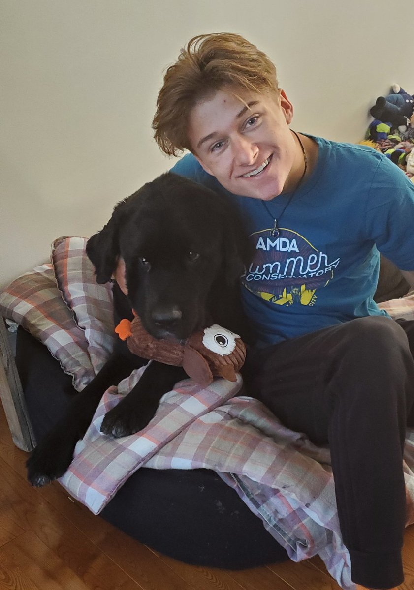 Just throwing in a picture of me and my dog, the Newfie.  He just got shaved ....et il doit toujours avoir un tou tou avec lui  #newfie  #newfoundlanddog