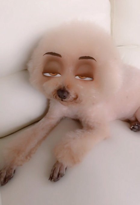 失敗した写真みたい🤣 反目🤣 https://t.co/HoACn7oerK<a href="/tag/%E5%8C%A0%E3%81%AE%E6%8A%80"class="tags"><span>#匠の技</span></a>