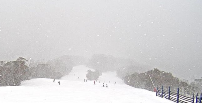 Bureau of Meteorology, New South Wales tweet media